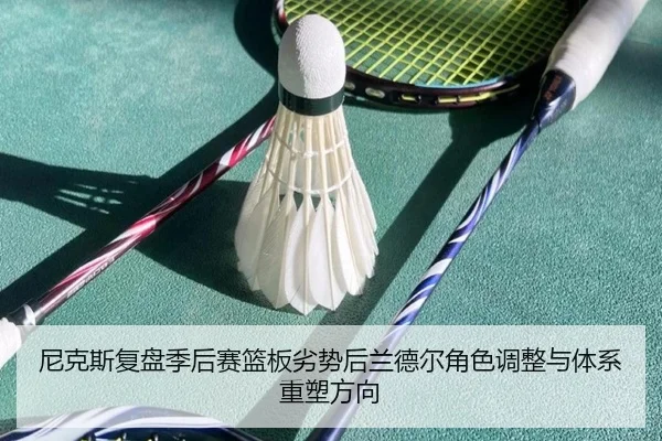尼克斯复盘季后赛篮板劣势后兰德尔角色调整与体系重塑方向